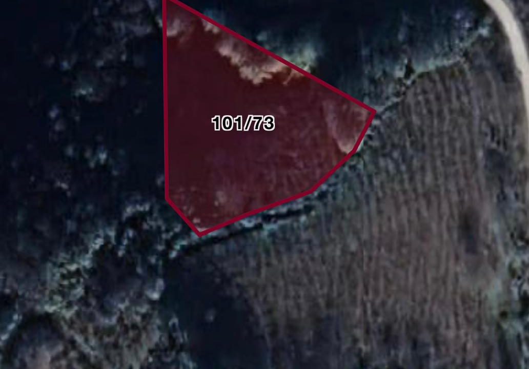 WhatsApp Image 2024-09-13 at 11.18.58