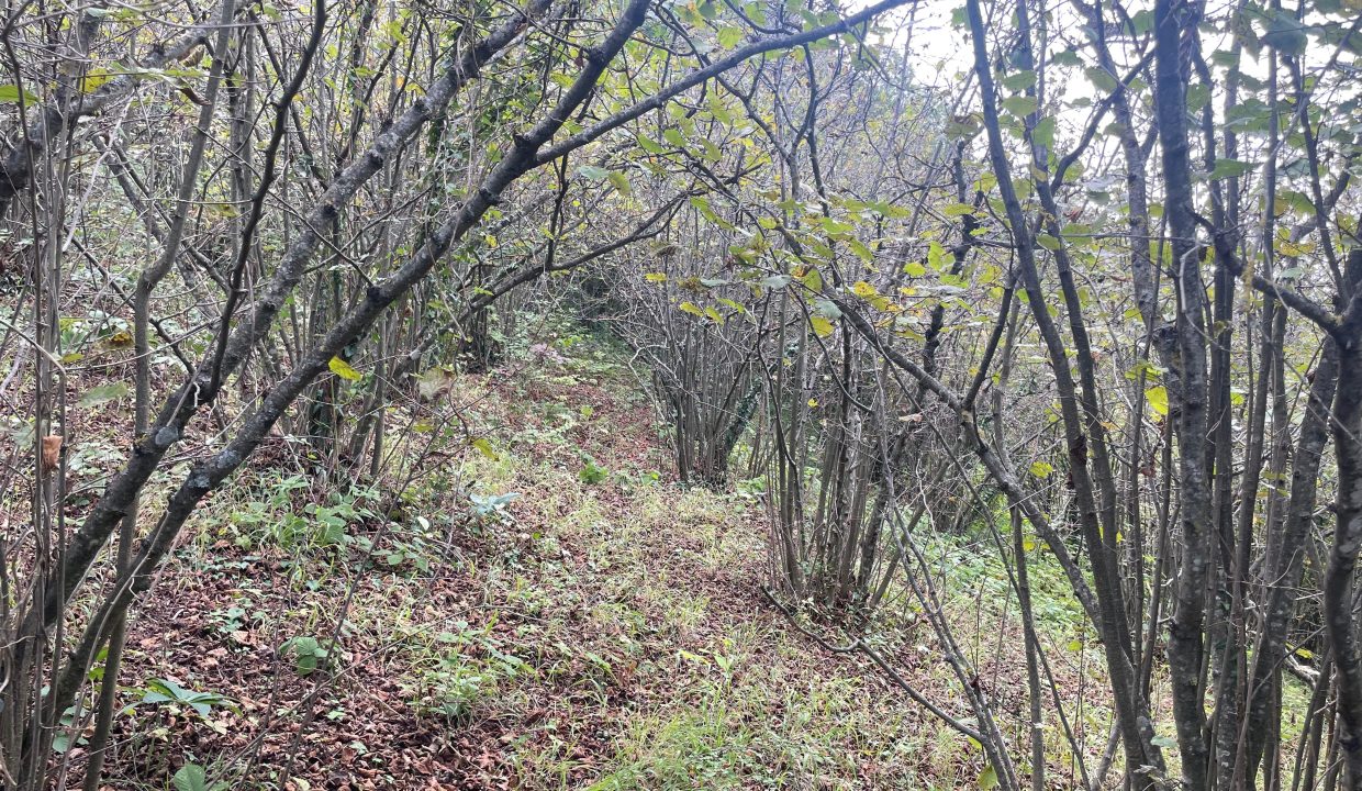 WhatsApp Image 2024-09-13 at 11.19.02 (1)