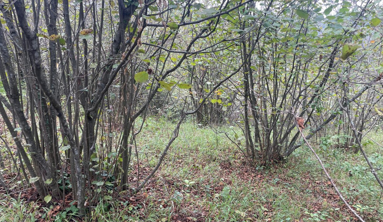 WhatsApp Image 2024-09-13 at 11.19.03