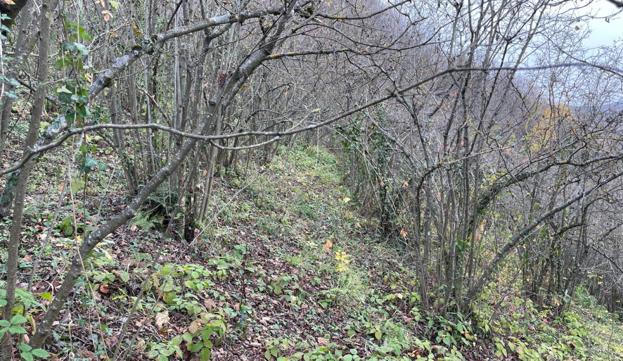 WhatsApp Image 2025-12-29 at 18.27.43