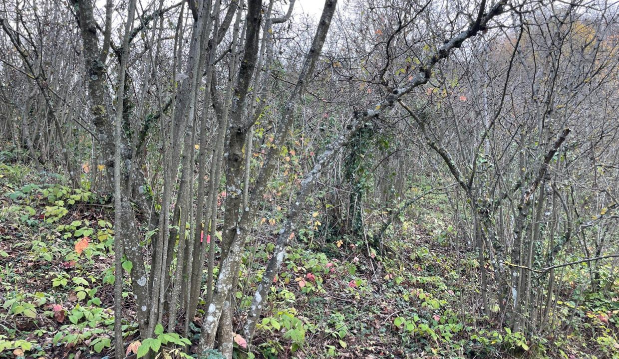 WhatsApp Image 2025-12-29 at 18.27.44 (1)