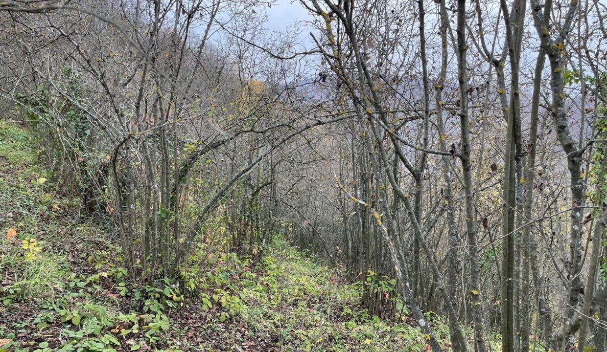 WhatsApp Image 2025-12-29 at 18.27.44