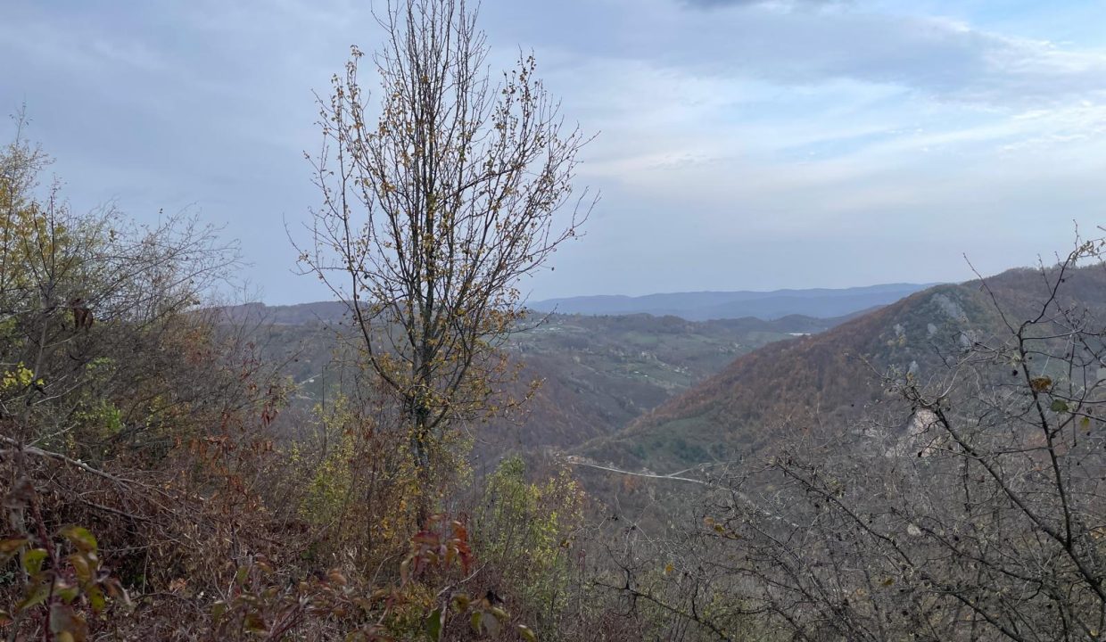 WhatsApp Image 2025-12-29 at 18.27.44 (2)